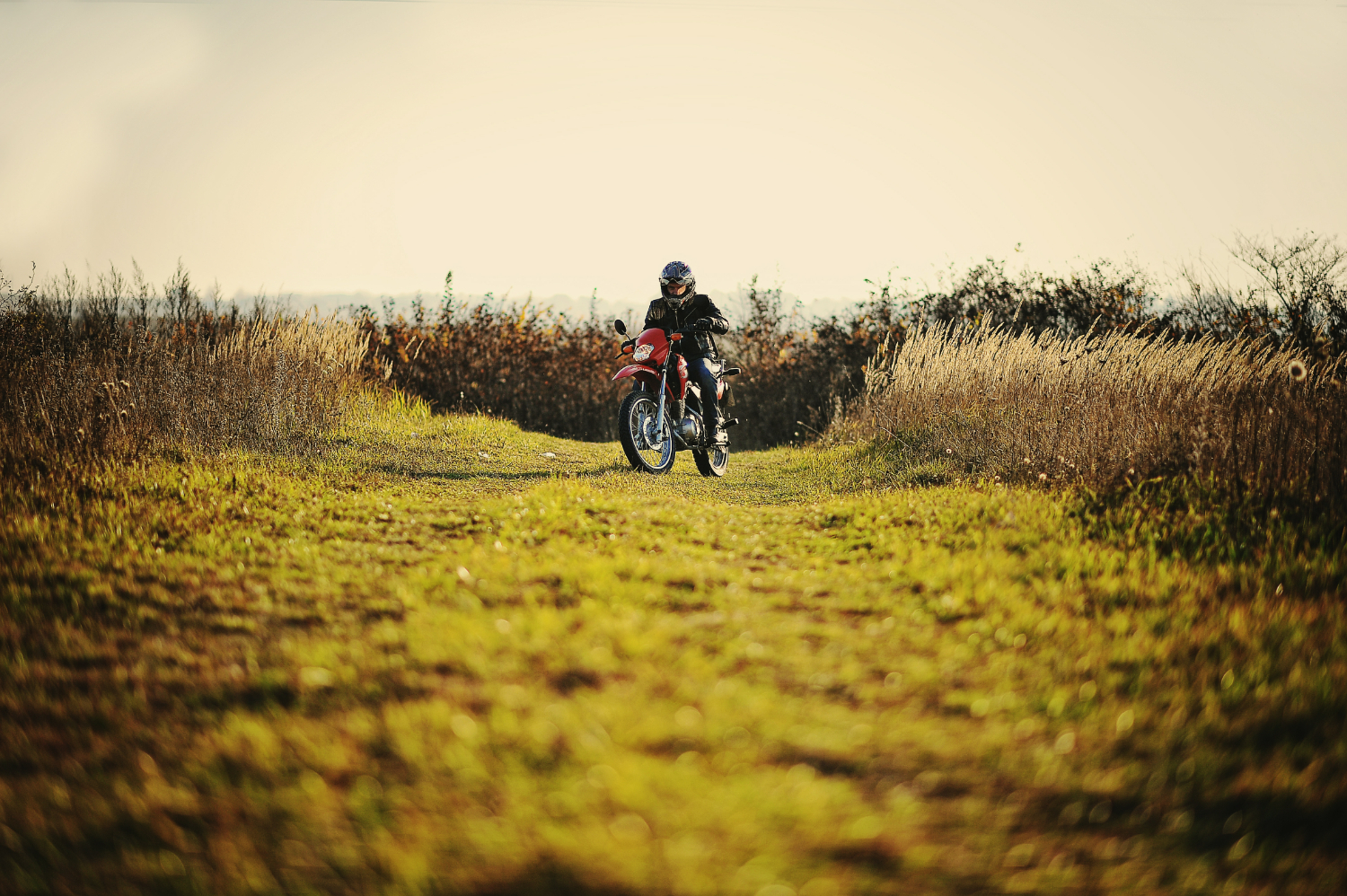 Imagem ilustrando o conteúdo sobre o que é enduro mostrando um praticante dessa modalidade em sua moto, em uma área de mata.